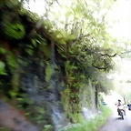 DSCN9617