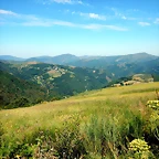 DSCN4857'2