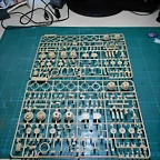DSCN5831