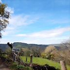 DSCN3983