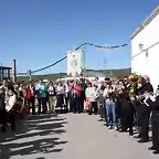 mayos al final de la calle la cruz