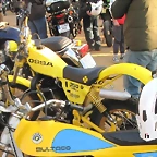 ossa amarilla