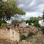 cortijo desde el olivar