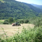 Ancares suso 016