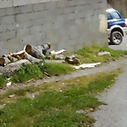 DSCN9056.JPEG