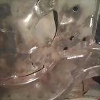 IMAG0107