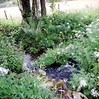 DSCN4585
