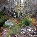 DSCN1834