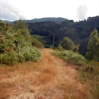 DSCN4386