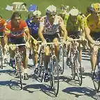 Agostinho-Tour1979-Hinault-Zoetemelk