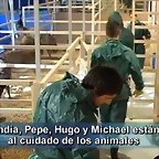 Arca No? 1