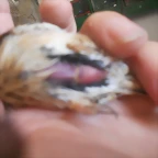 DSCN9756