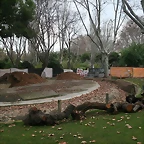 Zoo de Barcelona 23-12-2010 023