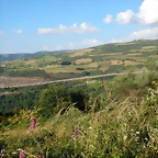 DSCN9286