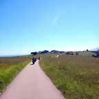 DSCN2985