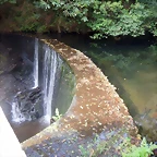 DSCN3487