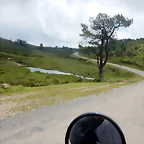 DSCN5910