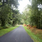 DSCN8391