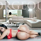 strellakat_2015-10-24_17-22-19