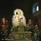 04, virgen arreglada, marca