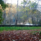 DSCN8995