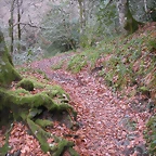 DSCN0759