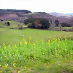 DSCN8428