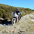 DSCN8878