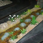 Barranquillo n 2 006 (Small)