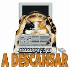 a descansar gatito e PC200