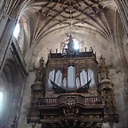 ORG PLASENCIA
