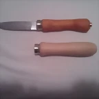 comparativa mango