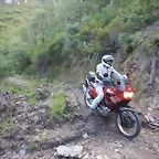 DSCN3568