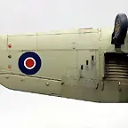SDC21335