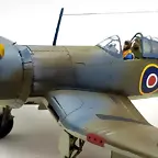 SDC21333