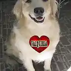 VALQUIRIA CORAZON