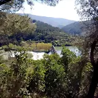 DSCN1819