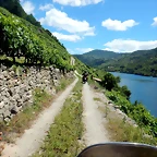 DSCN7814