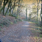 08-IMG_4204