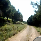 DSCN7133