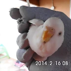 CIMG0073