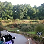 DSCN5324