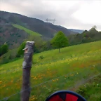 DSCN5095