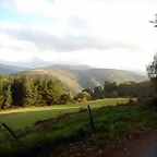 DSCN8468