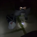 150520111000