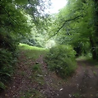 DSCN4761