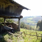 DSCN4375
