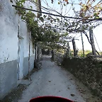 102-IMG_3037