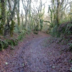 DSCN7216