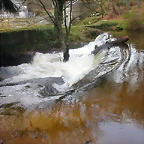 DSCN5383
